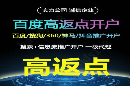 SEM推广实战：成功案例解读与策略调整